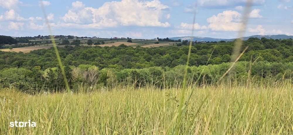 Teren Extravilan 9.528mp/ Vârciorog -Bihor / 30 km de Oradea