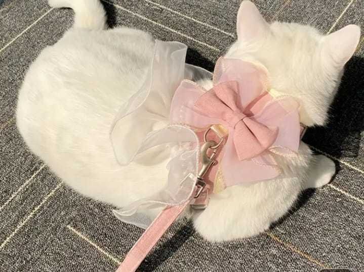 Шлейка для выгула кошек и собак