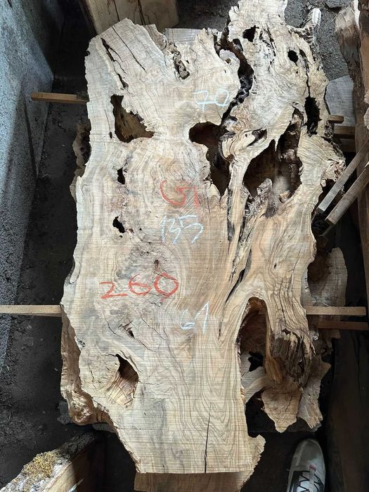 Янове от вековна маслина сухи подходящи за заливане с Епоксидна смола