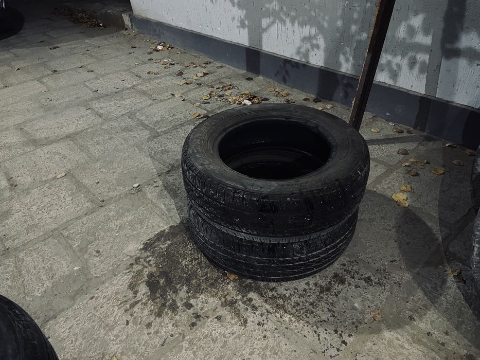 Чистый нормалный шиный