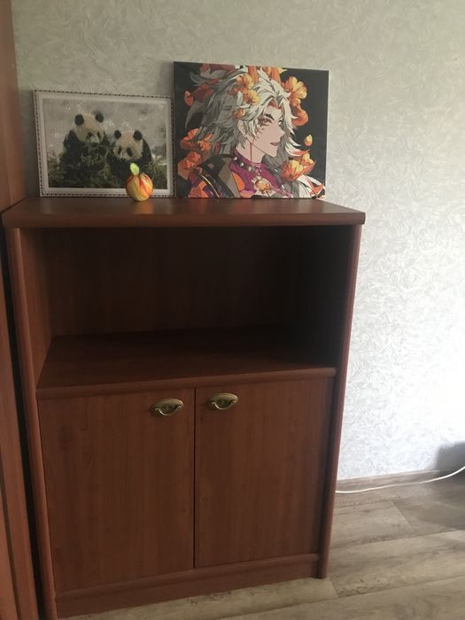 Шифоньер и шкаф  (Россия)