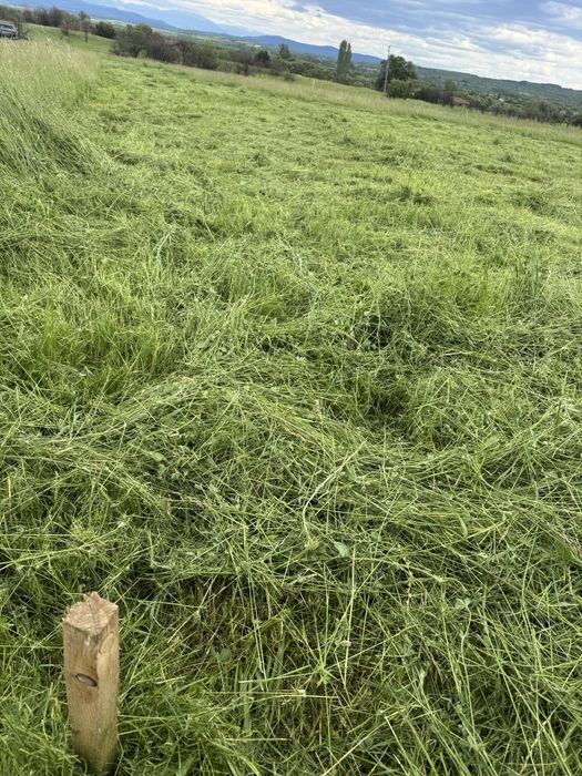 Продава се Земеделски имот в с. Пиперков чифлик, Област Кюстендил -  кв.м за 3395 €/дка - Снимка #5