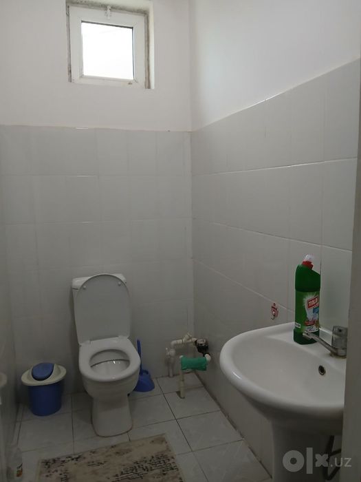Qibray baytgorgonda 6 sotixli katedj
