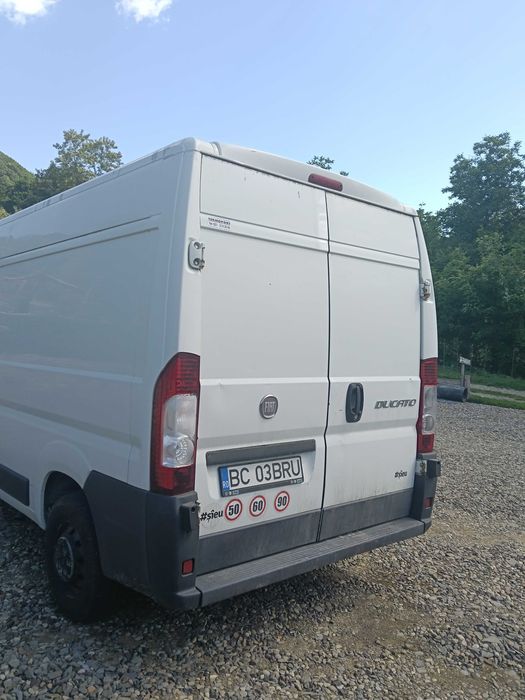 Dubă frigorifica model FIAT Ducato