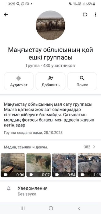 Мал группа Маңғыстау