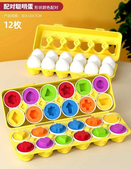 Тухумли сортерлар