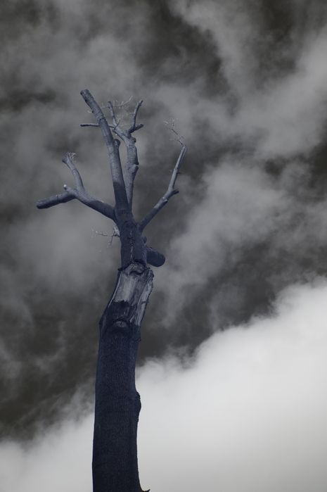 body Sony A3000 full spectrum