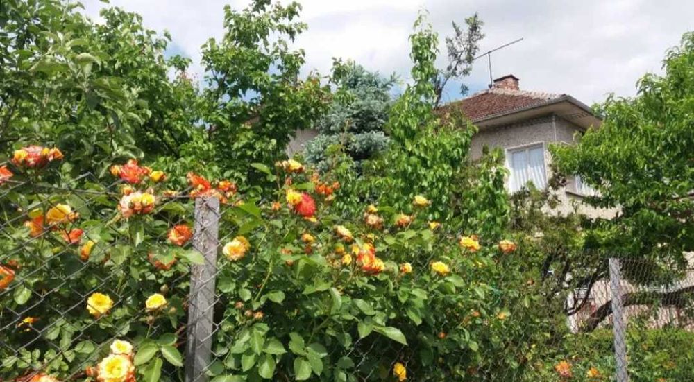 Продава се Къща в Горна Оряховица - 200 кв.м за 815 €/кв.м - Снимка #7