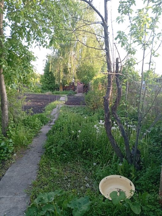 Продам дачу в новой-бухтарме