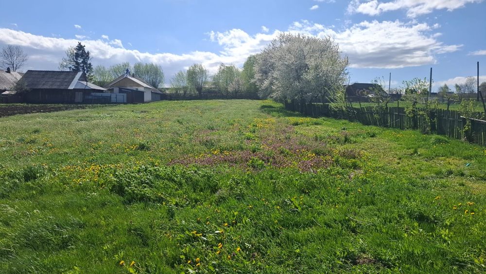 Teren intravilan 1800 mp, Pocoleni (Rădășeni) - formă dreptunghiulară, posibilitate parcelare