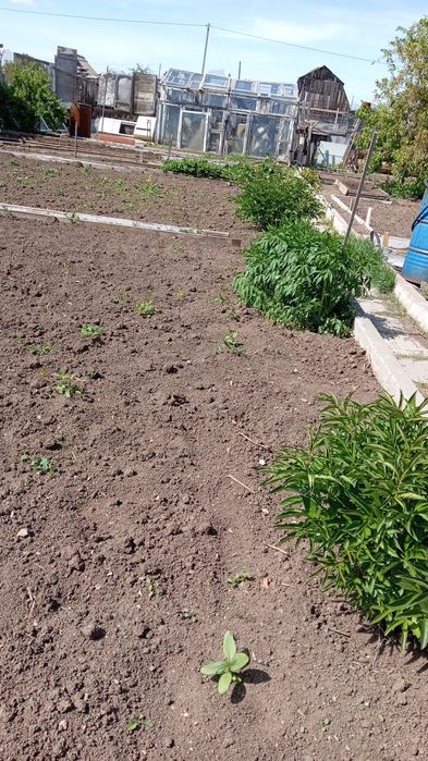 Продам дачу в городе