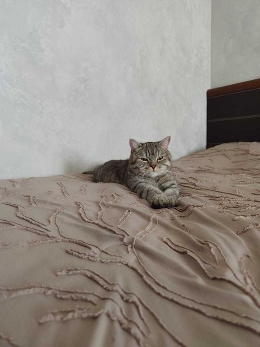 Отдам в хорошие руки