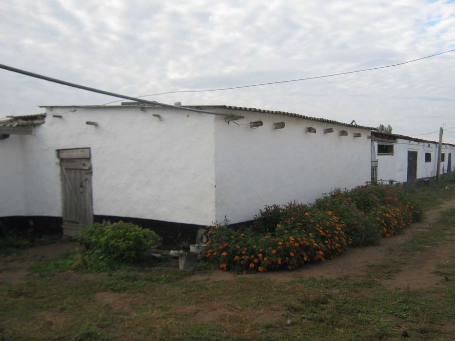 продам два дома в с. Новоямышево