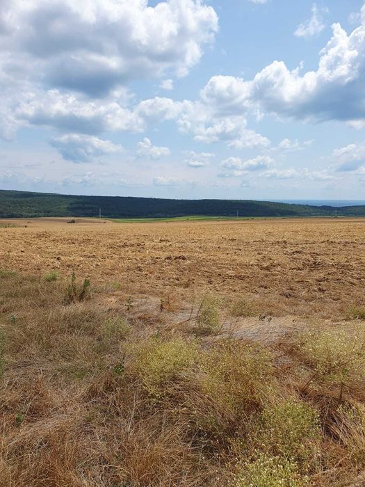 Продава се Парцел в с. Близнаци, Област Варна - 2428 кв.м за 25 €/кв.м - Снимка #7