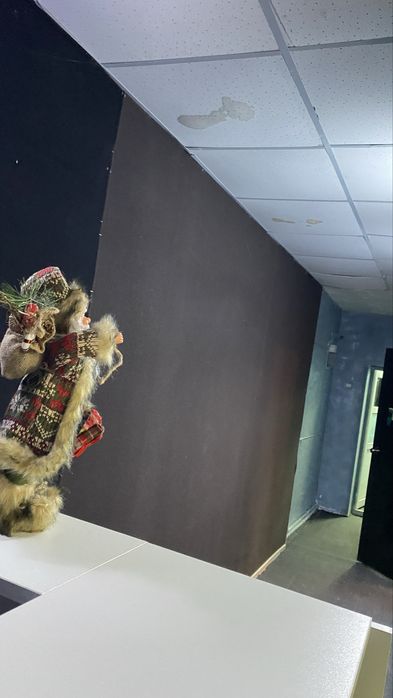 Нежилое помещение