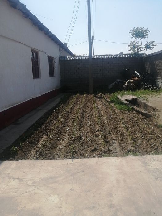 Sirdaryo tumani. Sholikor MFY. Maktab yonida.