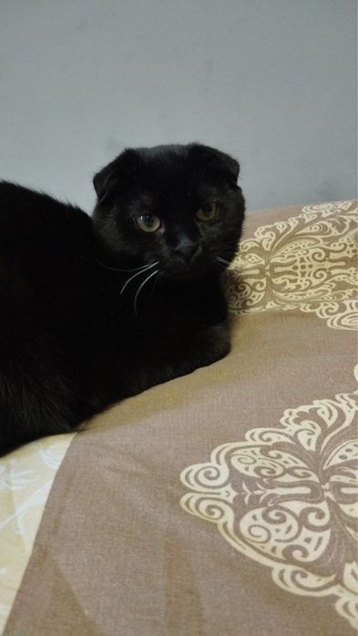 Мальчик ждет свою семью!