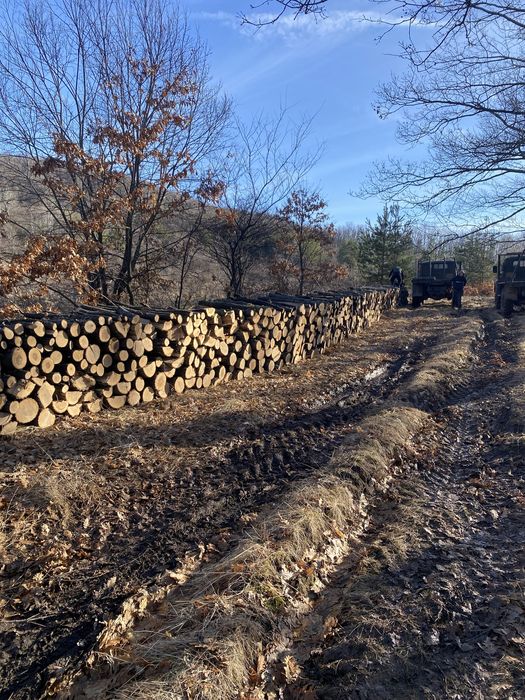 Дърва за огрев. Дъб и бук метровки