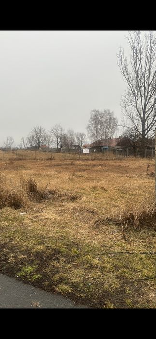 De vânzare: livadă de nuci, grādinā. 140 de pomi du nuc