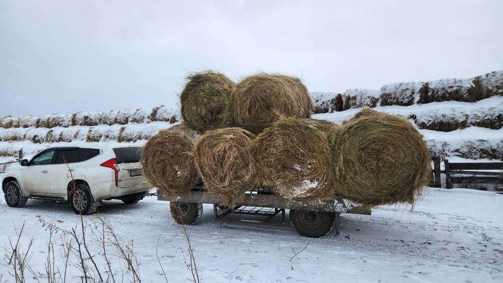 Сено косшы шоп косшы