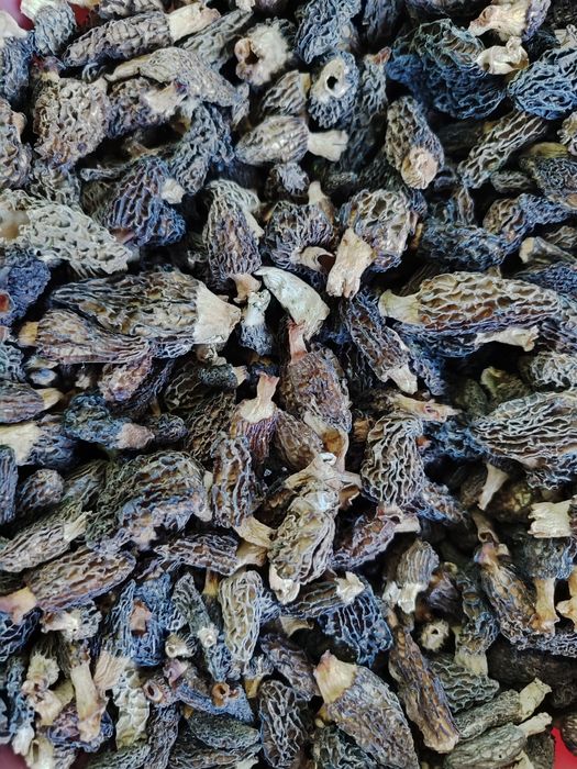 Грибы сморчки сушеные