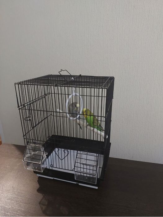 Попугайчики клетка, корм, минералы