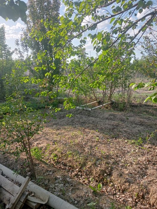 Продам дачу в П МК 52   Дом де комнаты и коридор