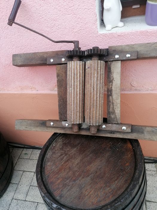 Zdrobitor fructe
