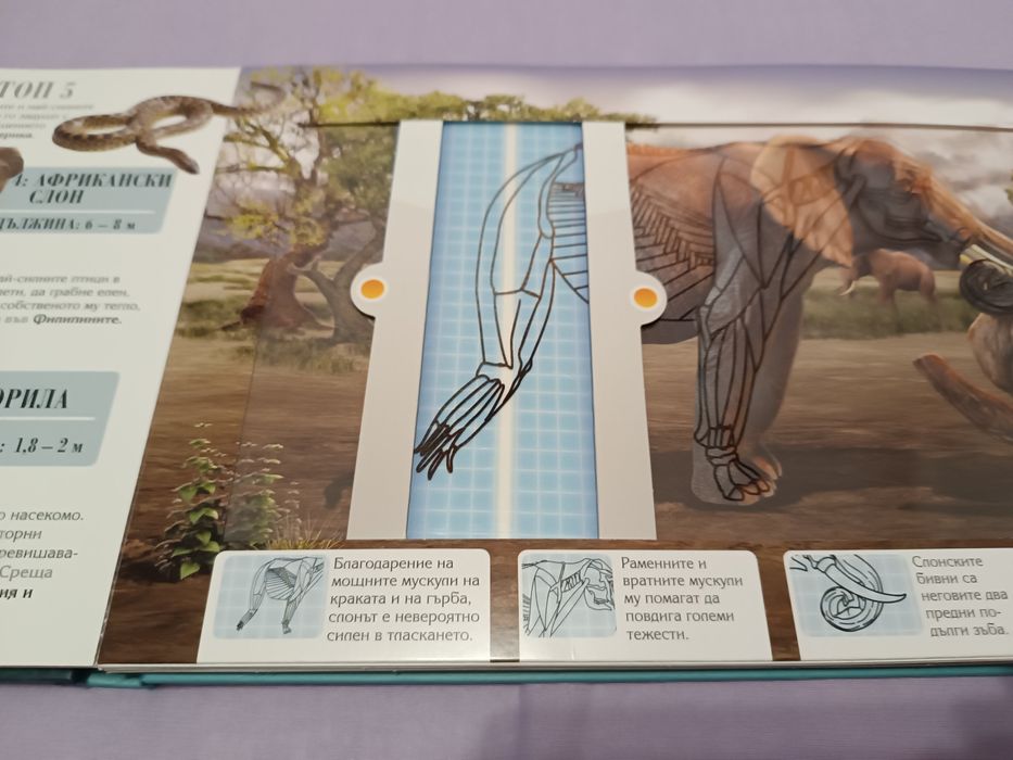 Енциклопедия за животни