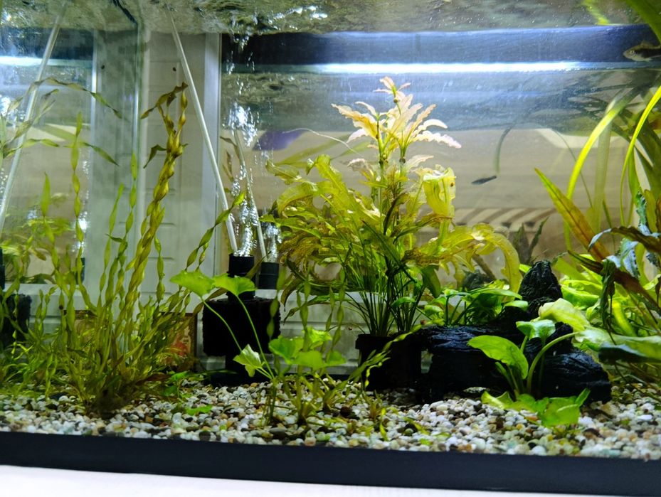 Новый аквариум 110 литров со всем