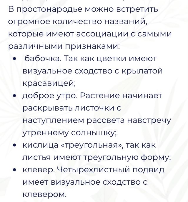 Растение Оксалис, кислица, бабочка