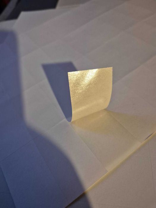 4000 Etichete Autocolante A4, Avery Zweckform, Germania, 100 coli