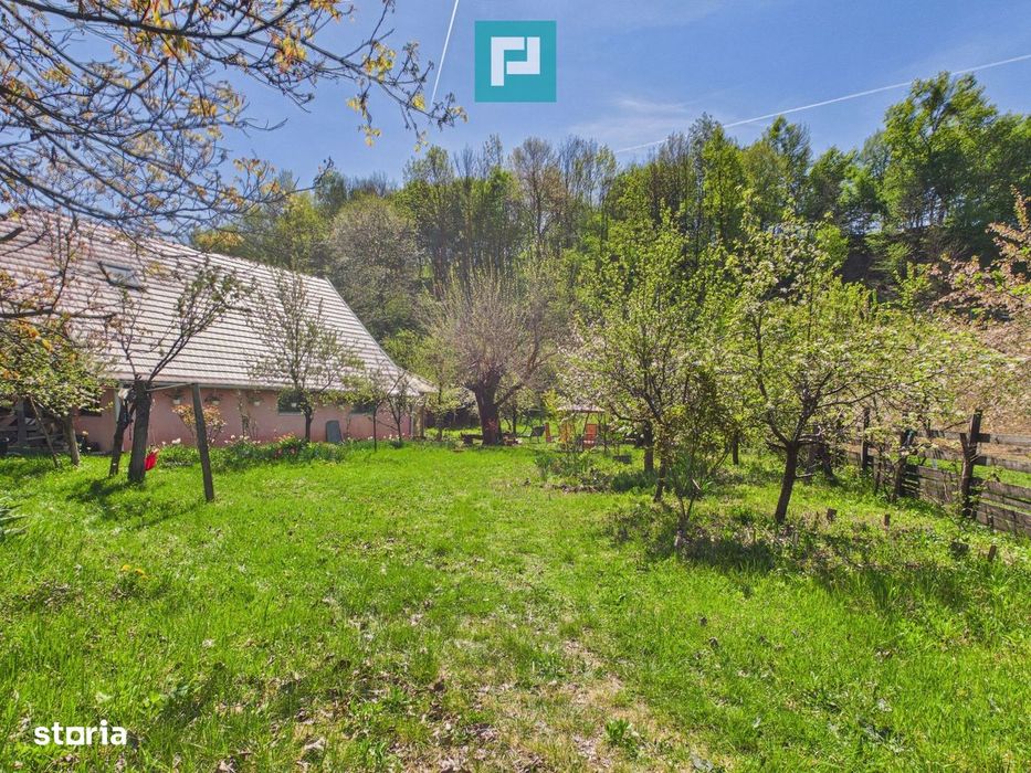 Casă Câmpani, 8000 mp teren, la poalele Apusenilor