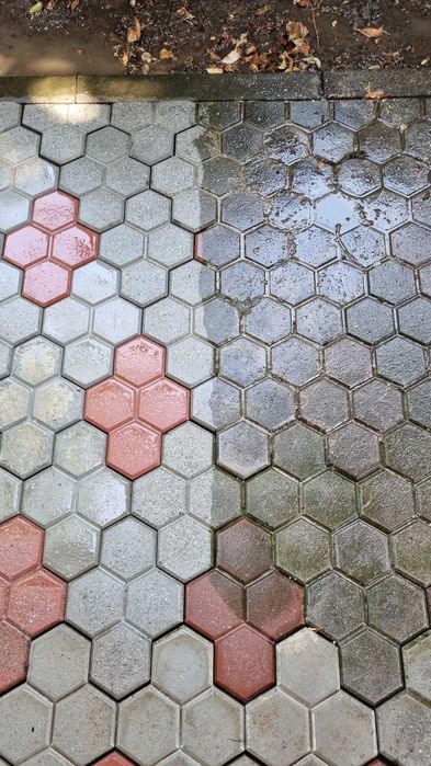 Spălare și Curățare Pavaj cu Presiune | Curți și Alei