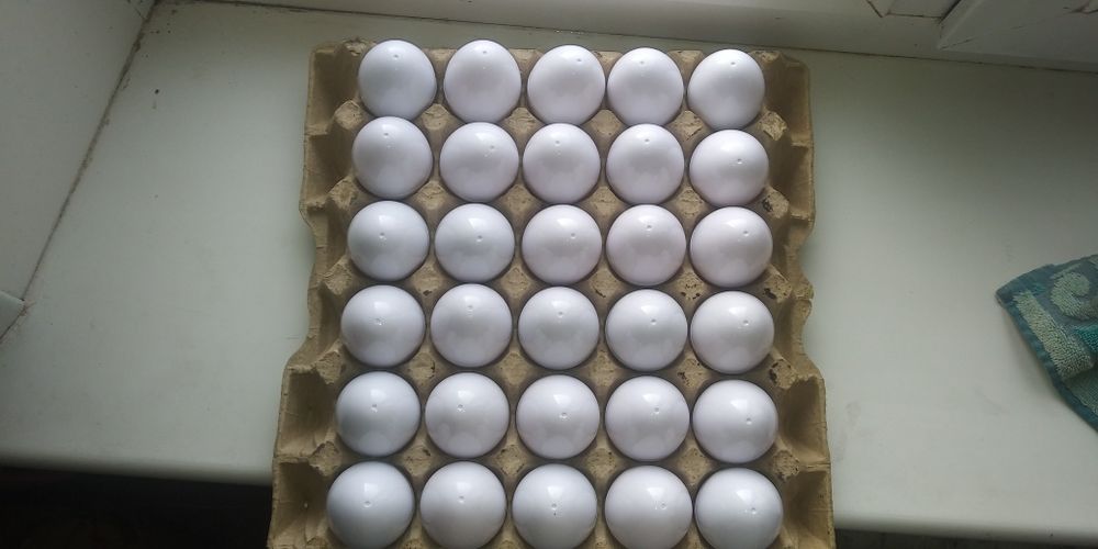 Искуственное яйцо муляж