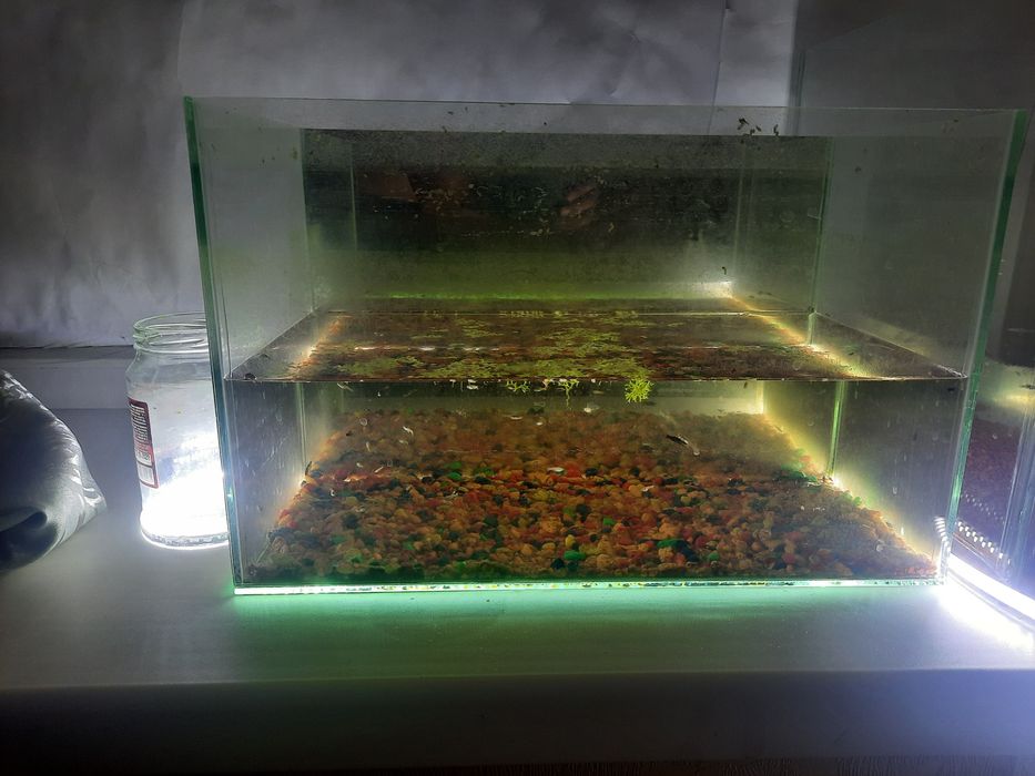 Продам аквариум с рыбкой 10000 теңге