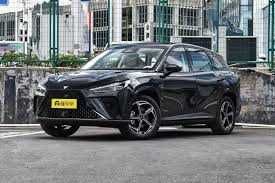 NETA L buyurtma orqali/ на заказ