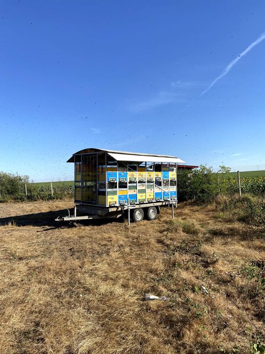 Rastel apicol cu sau fără lăzi