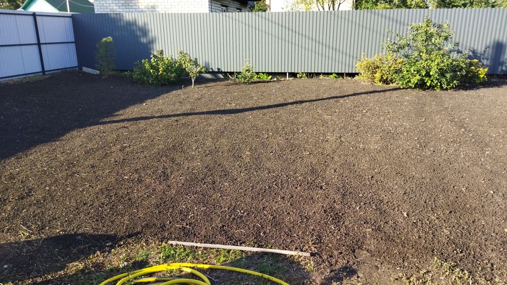 Посевной газон яркий плотный в петропавловске