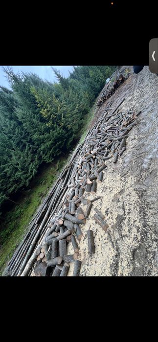 Vand lemn de foc esenta tare