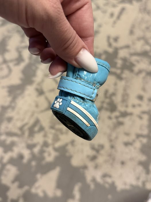 Отдам ботиночки для собак