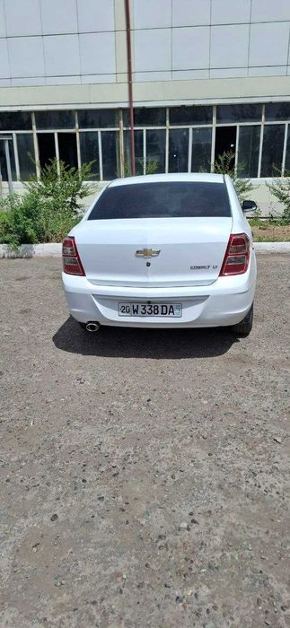 Cobalt oq holati ideal