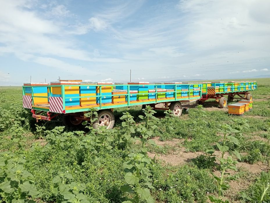 Продам пчела прицеп