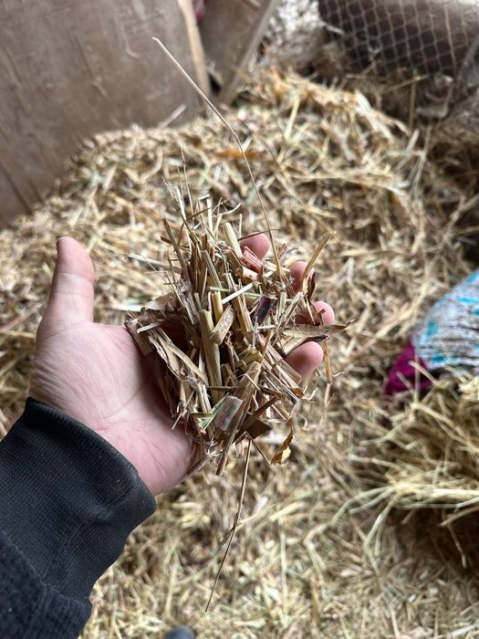 Drabilka zavatskoy 5mln ozgina galiwamz