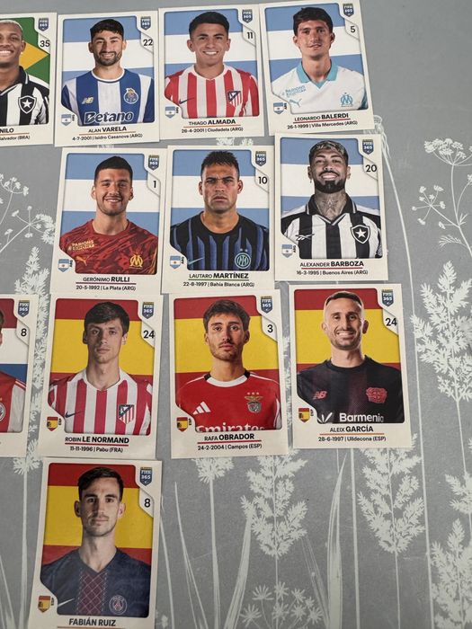 panini 2026 fifa 365