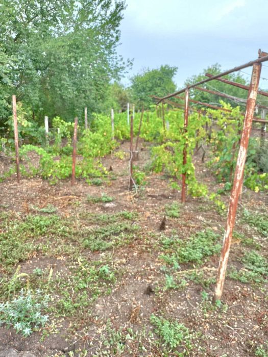 Продава се Парцел в Добрич, Христо Ботев - 868 кв.м за 8 €/кв.м - Снимка #14