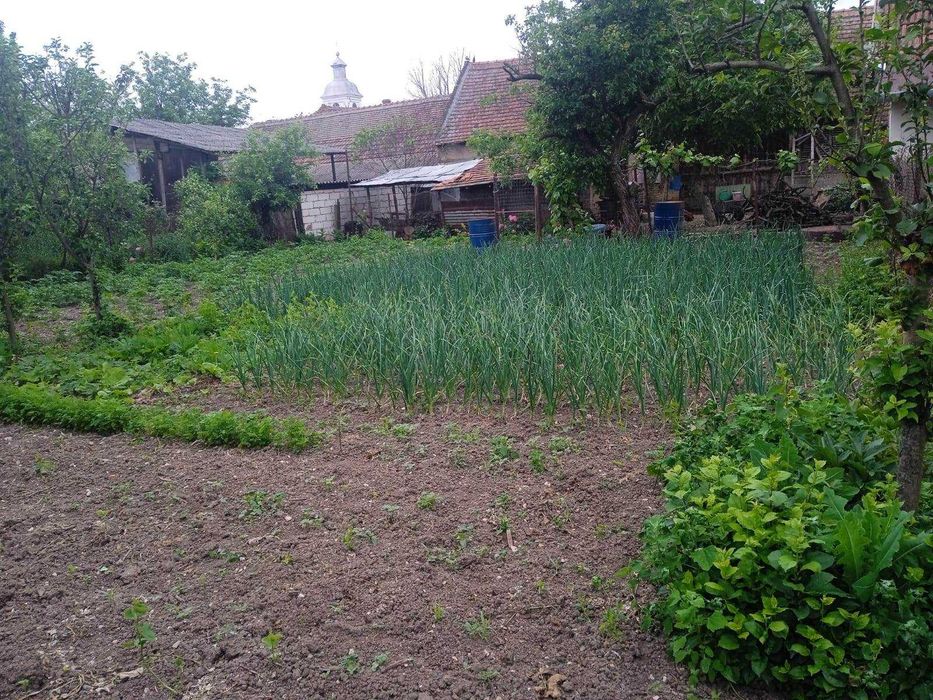 Casă de vânzare macoviste sau la schimb in zona oravita!