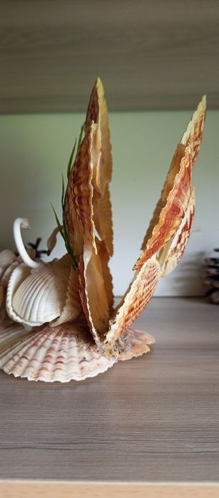 Салфетница из ракушек