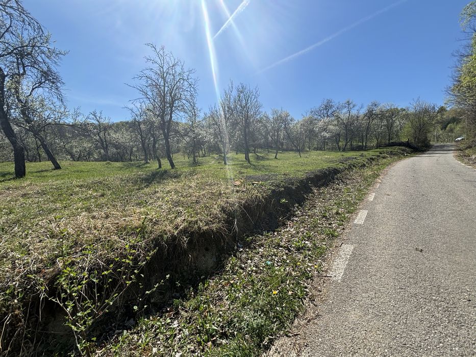 Raul Alb de Sus - extravilan faneata -5246mp