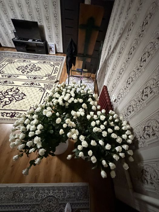 Белый светы роза